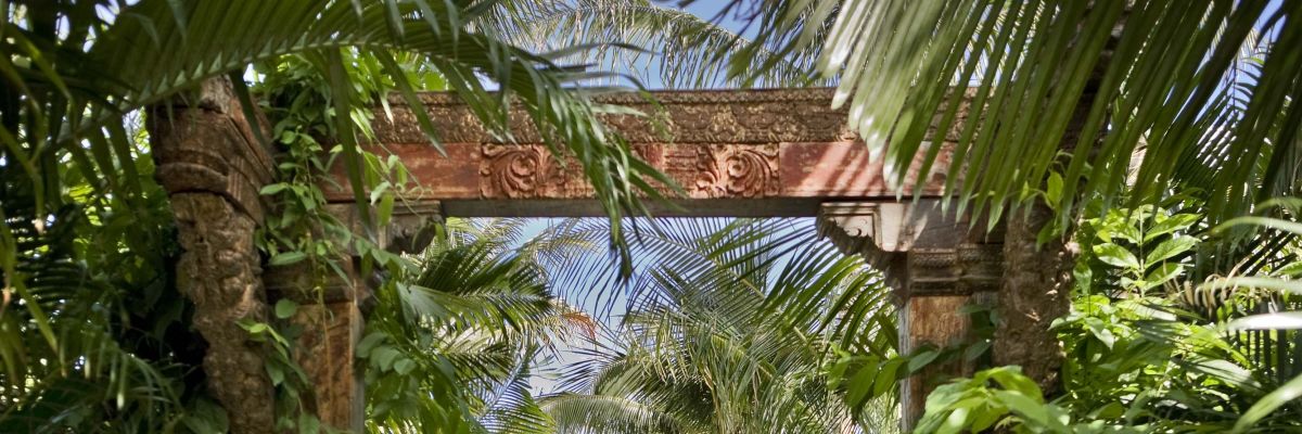 Walkway through a tropical garden at Parrot Key Resort.